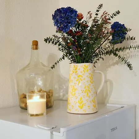 Refugio Da Alma 別荘 *