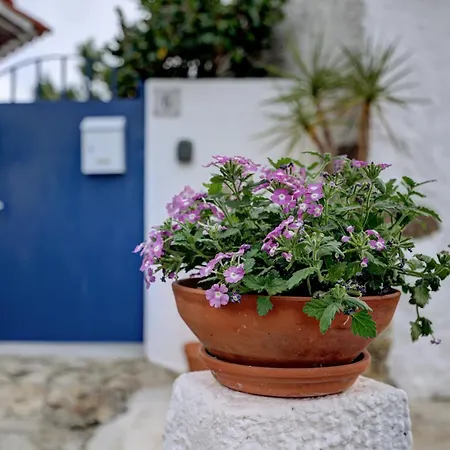 Ferienhaus Refugio Da Alma Com Lareira E Patio Perto De E Ericeira