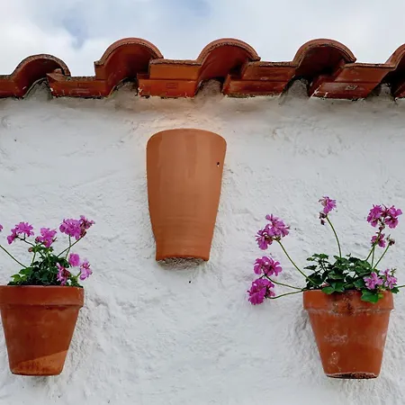 Refugio Da Alma Com Lareira E Patio Perto De E Ericeira Hébergement de vacances Mafra